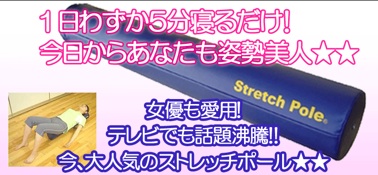 姿勢をよくするストレッチポール.jpg