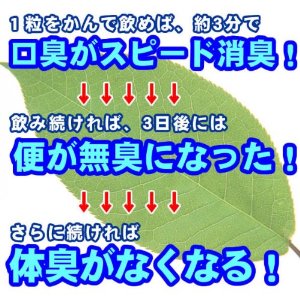 体臭対策モテる秘訣.jpg